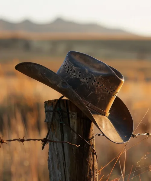Texanas México
